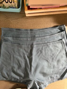 Quince Organic Cotton Intimates Bundle (3) NWOT | Boyshort Briefs | Size M